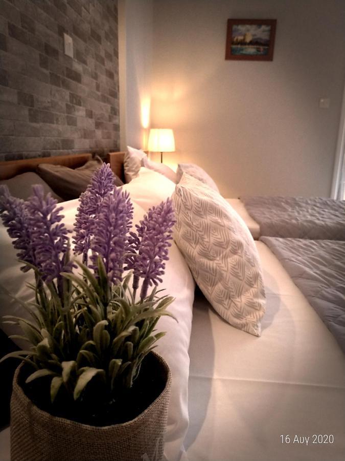 Adonis Apartments Paralia Katerinis